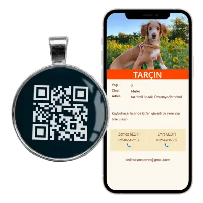 QR Kodlu Kedi, Köpek Tasması